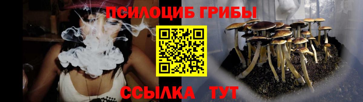 Славгород  Псилоцибиновые грибы мицелий  Вход с VPN 